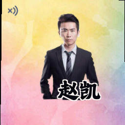 赵凯