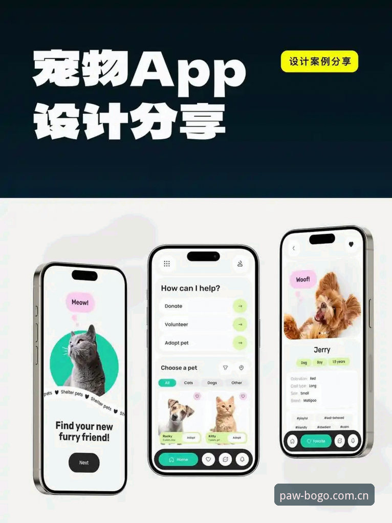 博狗APP下载 vs 手机版网页：哪种方式更适合你？博狗移动端官网使用指南