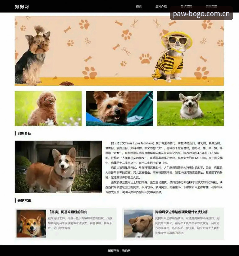 博狗APP下载 vs 手机版网页：哪种方式更适合你？博狗移动端官网使用指南